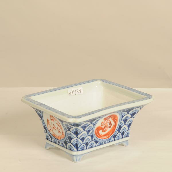 盆栽小鉢：屯洋（とんよう)　長方鉢　9.6cm【現】*Tonyou　資材