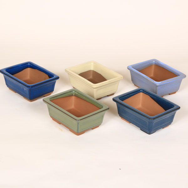 鉢：国産小鉢（長方エン付）　9cm*資材