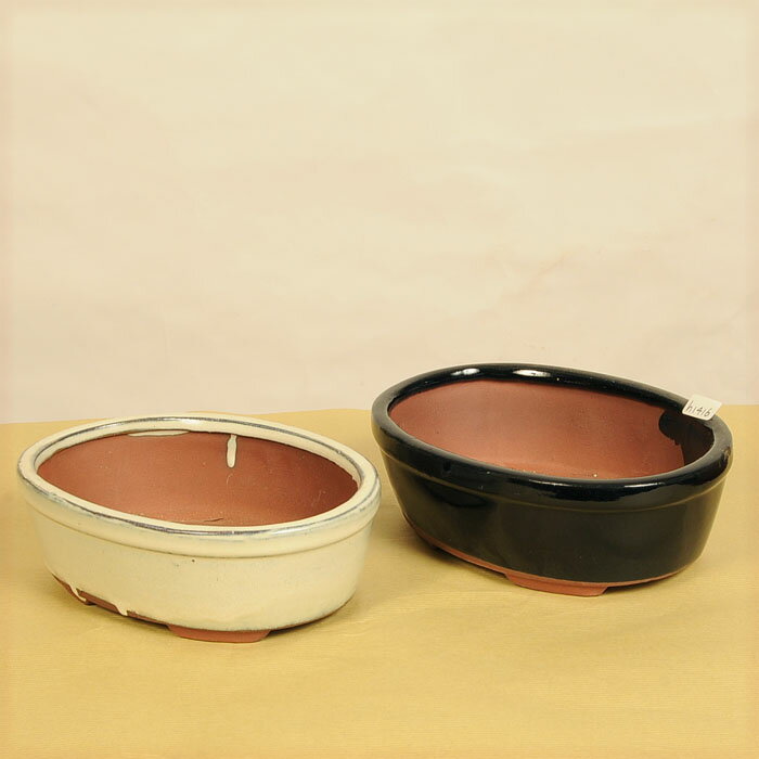 鉢：中国鉢　J-31　20cm*資材