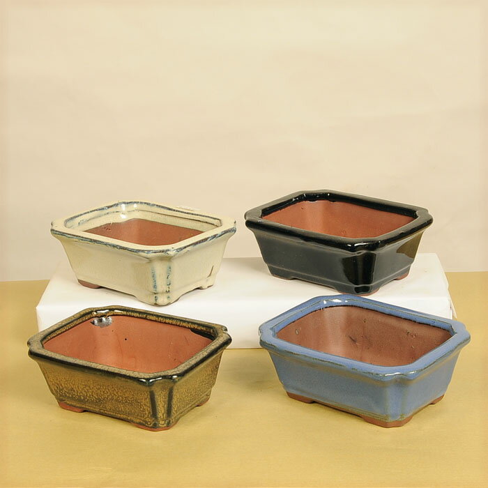 鉢：中国小鉢　J-65*資材