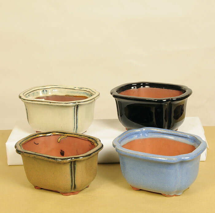 鉢：中国小鉢　J-67*資材