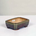 現代小鉢:平安虹泉 長方隅切鉢 11.0cm【現】*資材