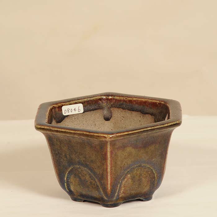 Rakuten - 鉢：樹晃　　六角鉢　　13.4cm【現】*資材