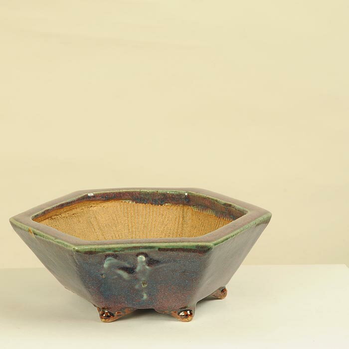 鉢：平安虹泉　六角鉢　16.8cm【現】*資材