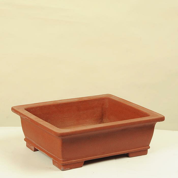 Rakuten - 正山　26.8cm【現】