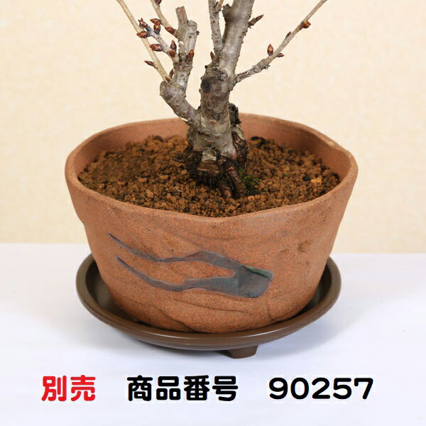 �ߺϼ�������­�մݷ���5.5��*���