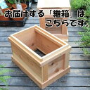 巣箱：石田式 ニホンミツバチ捕獲箱（兼飼育箱）【継ぎ箱】