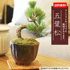 https://thumbnail.image.rakuten.co.jp/@0_mall/yukei/cabinet/gift/y1191-22.jpg