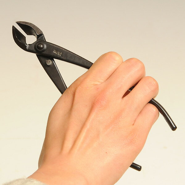 �ߺ�ƻ�񡧷�ʺ��������������No.1A*���