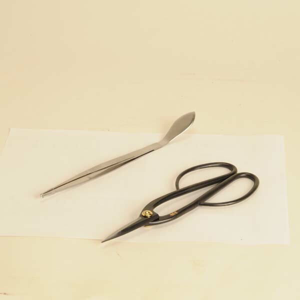 ��ࡧ�ߺ����ƻ�񥻥å�*