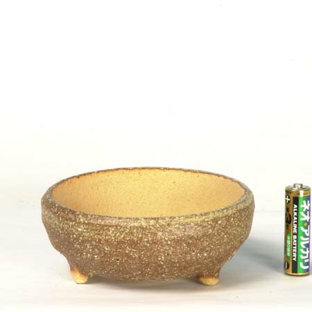 Rakuten - 鉢：信楽焼鉢　11.0cm*資材