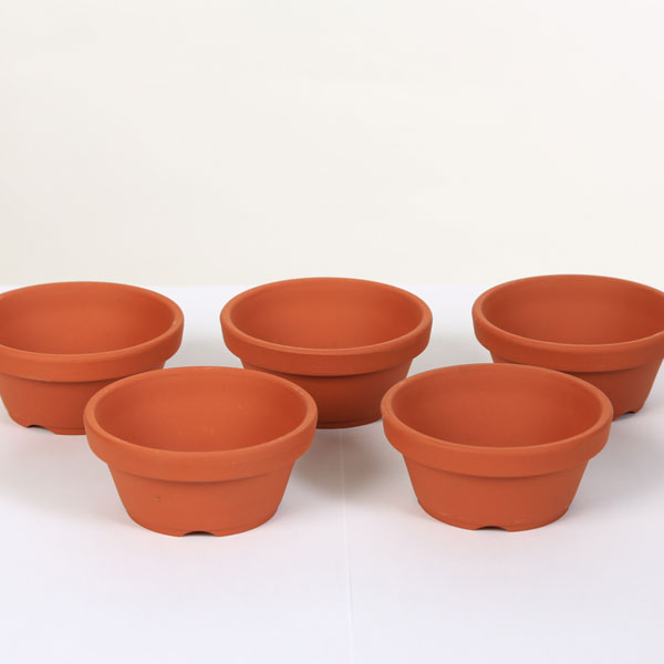 ȭ�����ǾƤ�ȭ���벹��3������5�ĥ��å�*���