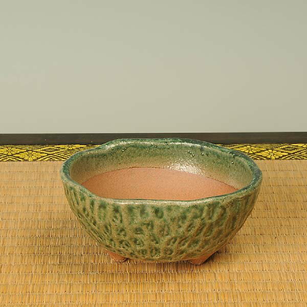 Rakuten - 鉢：瀬戸焼鉢(緑色)　12cm*資材