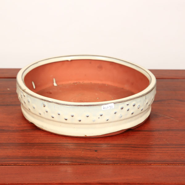 鉢：中国製太鼓丸鉢 白 23.5cm*資材