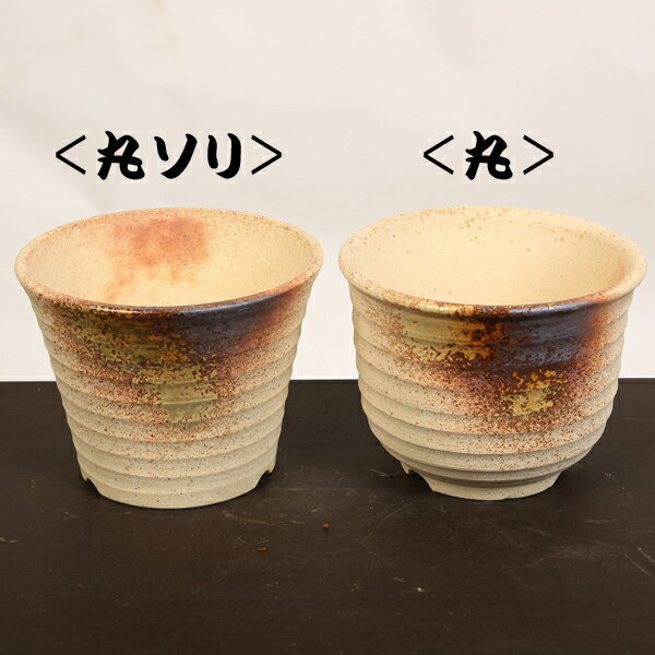 鉢：瀬戸焼深鉢 6号*資材