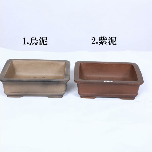 Rakuten - 鉢：中国小鉢　長方縁付鉢　16.8cm*資材