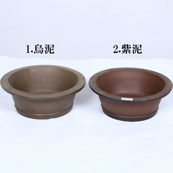 鉢：中国小鉢　縁付丸鉢　15.9cm*資材 1