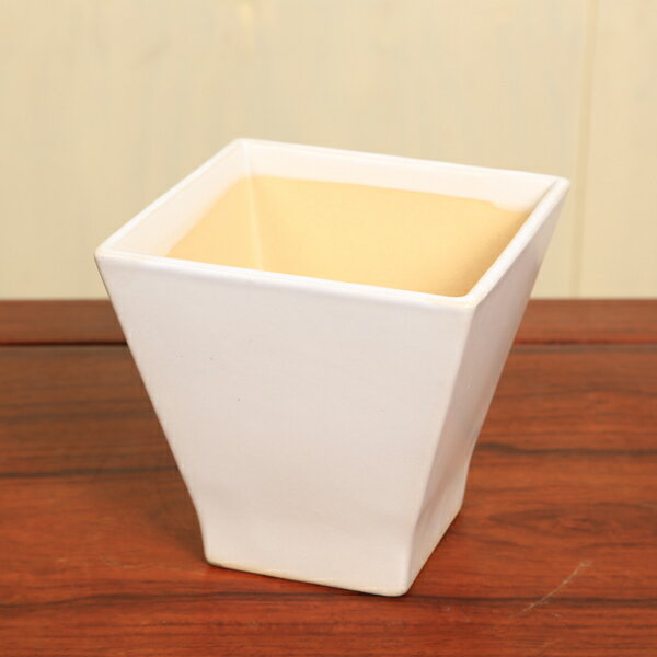 鉢：国産モダン鉢　13cm*資材