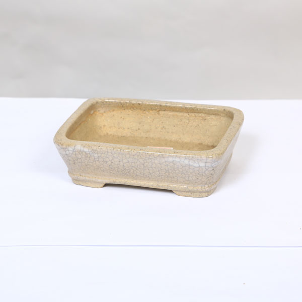 Glass Bowls - 鉢：鴻陽　長角鉢　【現品】　14cm*資材