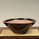鉢:中国産小鉢 25.5cm*資材
