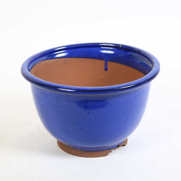鉢：中国産小鉢　20.0cm*資材