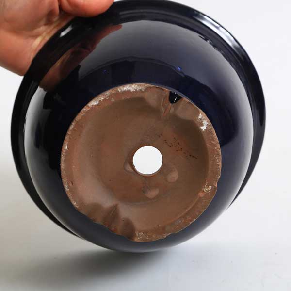 鉢：中国産小鉢　20.0cm*資材