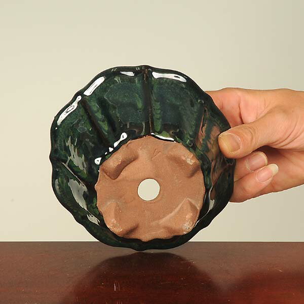鉢：中国輪花鉢　12.6cm*資材 3