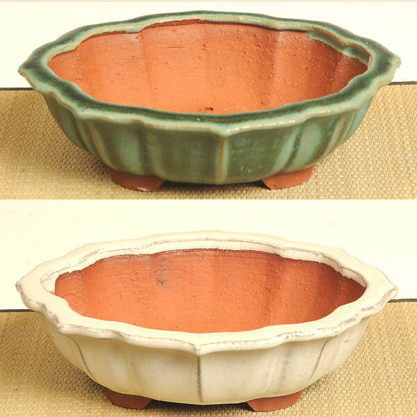 鉢：燿山　小判剣モッコ鉢　15cm*資材