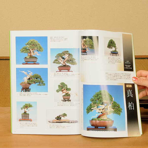 本:小品盆栽36種徹底紹介(下)*資材の紹介画像2