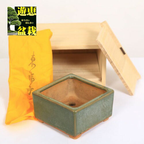 盆栽小鉢:初代 東福寺 正方鉢 10.6cm【現...の商品画像