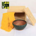 盆栽小鉢:初代 東福寺 丸鉢 10.2cm【現品】*資材