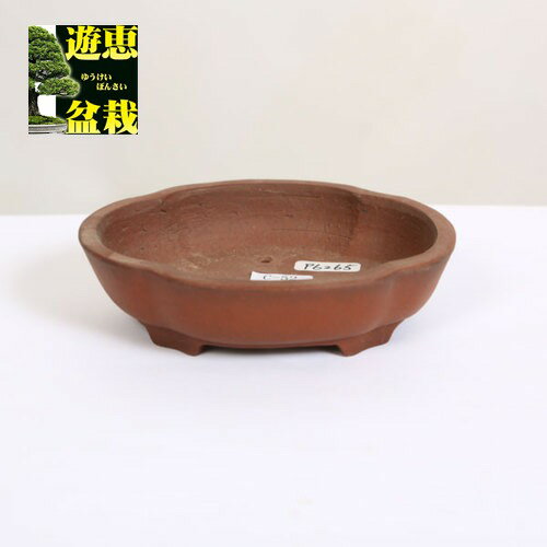 常滑作家：柴勝 モッコ鉢 11cm 【現品】*資材