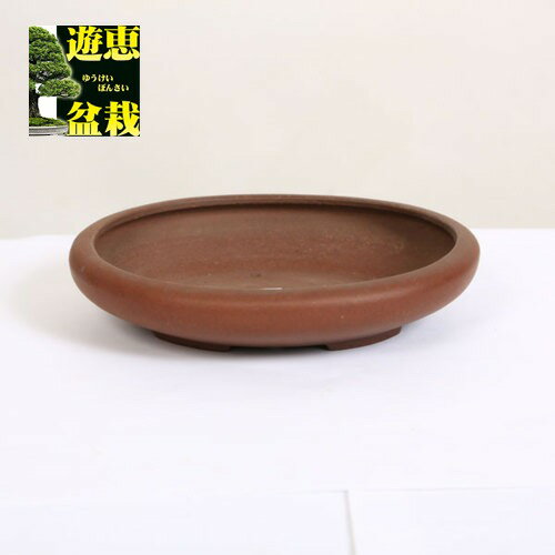 常滑作家：柴勝　楕円鉢　17.6cm　【現品】*資材