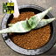 多肉植物:アロエ ラエータ*幅11cm