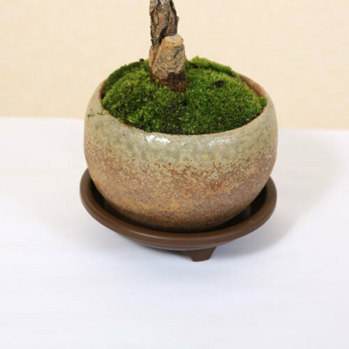 �ߺϼ�������­�մݷ���3.5��*���