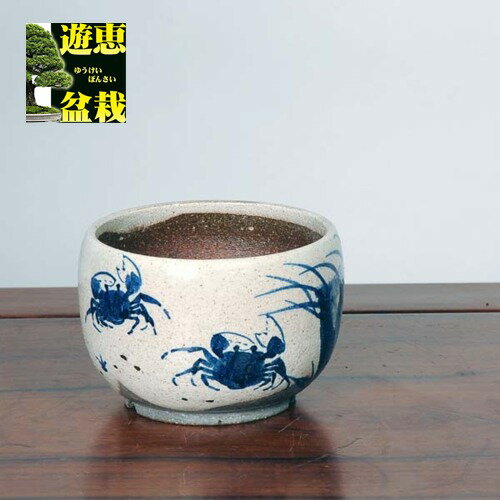 信楽焼:粉引絵付鉢(カニ)11.5cm*資材