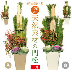 https://thumbnail.image.rakuten.co.jp/@0_mall/yukei/cabinet/kadomatsu/y2590-main.jpg