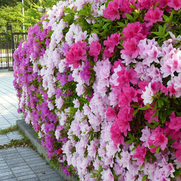 ���ڡ��ҥ�ɥĥĥ��ʻ�ϡ�*�ʤ��Ĥ����ĤĤ��ϡˤҤ�ɤĤĤ���ʿ������