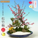 迎春：松竹梅(楕円浅鉢)*鶴付き【お歳暮】【2024年早春開花予定】bonsai　紅梅　白梅