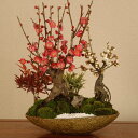 盆栽:大紅梅白梅寄せ*(紅白)(信楽焼鉢)【送料無料】【2020年開花】 盆栽:大紅梅白梅寄せ*(紅白)(信楽焼鉢)【送料無料】【2020年開花】