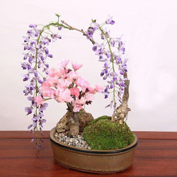 人気花物盆栽：桜・藤寄せ*陶器鉢