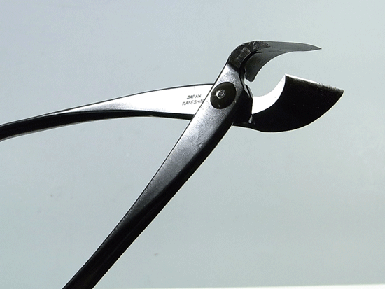 �ߺ�ƻ�񡧷�ʺ��������(��)��No.3A*���