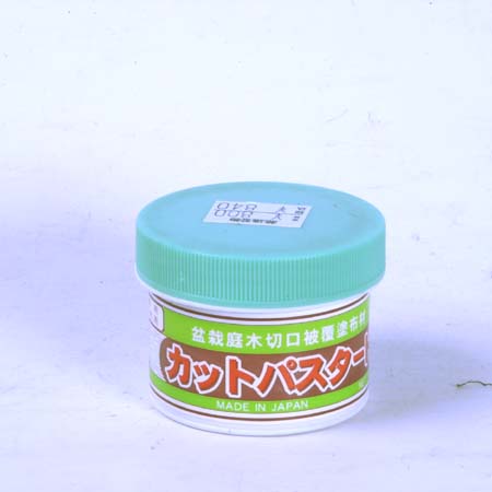 ����ޡ����åȥѥ�����(��)��190g*���