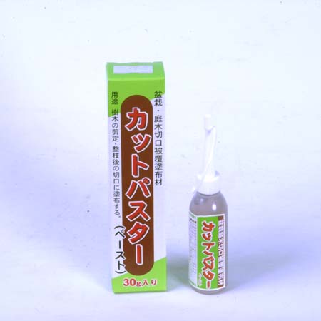 癒合剤：カットパスターペースト(小)　30g*資材
