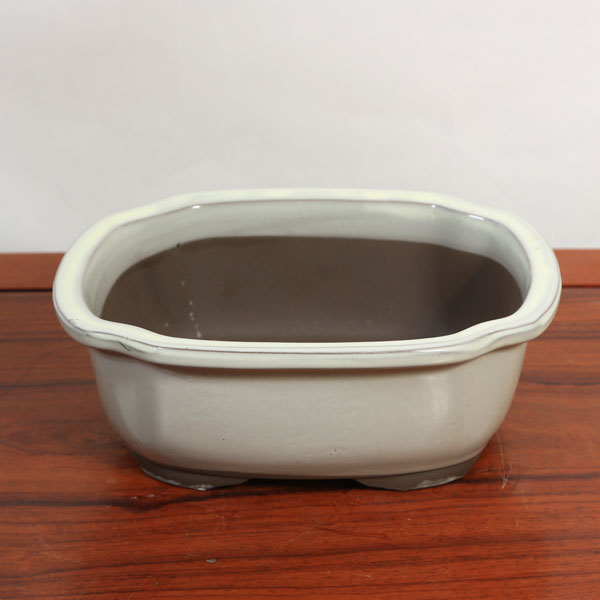 ȭ����ȭ����å�����ȭ��7�桡23.5cm*���