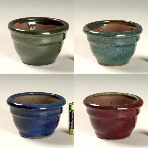 鉢：中国丸鉢 9.3cm p15-2*資材