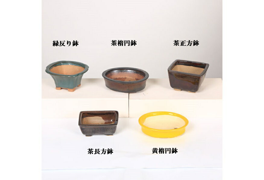 Rakuten - 盆栽鉢：国産小鉢*資材