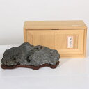 水石:八瀬巣立石【現品】*資材