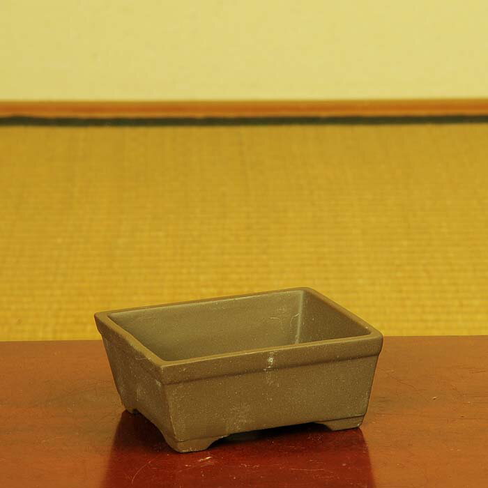 ȭ������ʪ��ȭ3�桡A*���