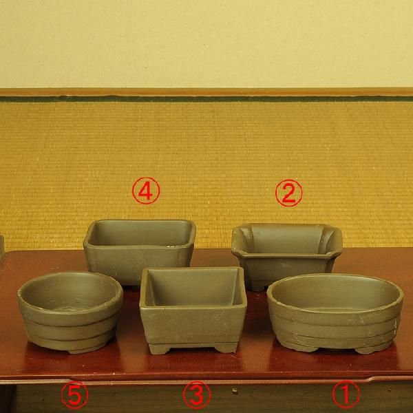 鉢：国産土物小鉢3号　B*資材